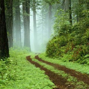 Meet your Posher, Debra